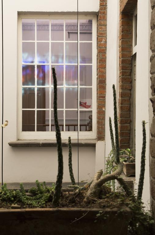 El Patio 77 B&B Cidade do México Exterior foto